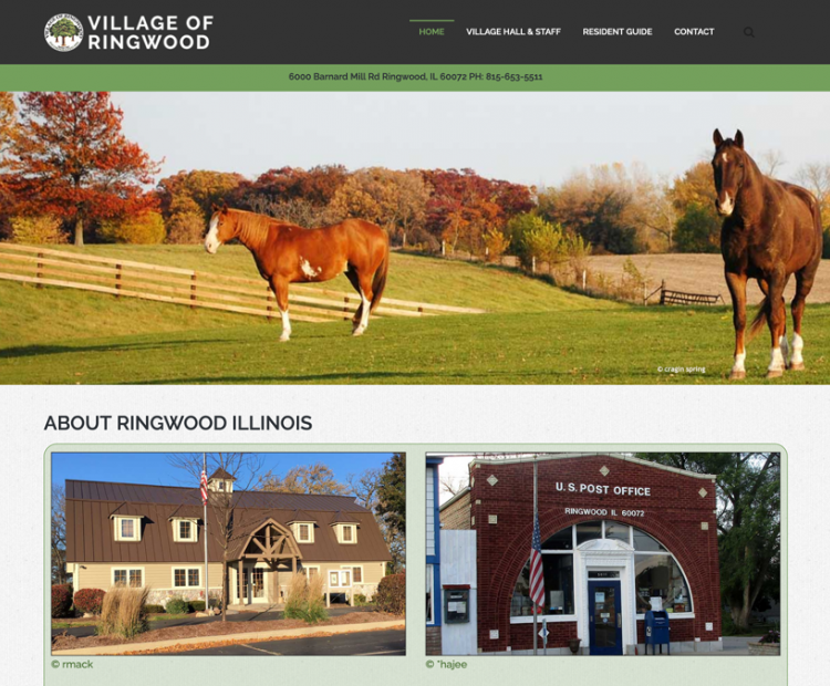 Village of Ringwood Illinois